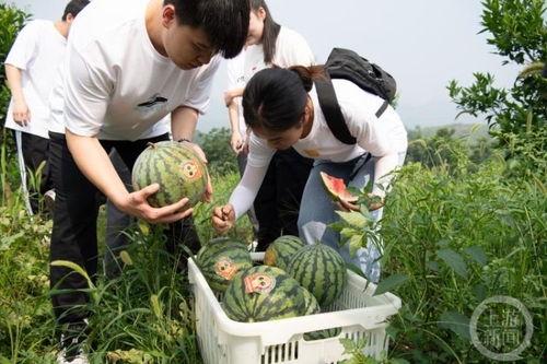 重庆医专吃瓜视频,校园生活趣味瞬间大揭秘 重庆医专吃瓜视频,校园生活趣味瞬间大揭秘