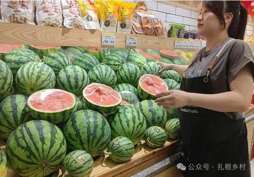 王小瓜吃西瓜视频大全,趣味视频大全欢乐来袭 王小瓜吃西瓜视频大全,趣味视频大全欢乐来袭