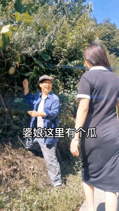 吃瓜不忘种瓜搞笑视频,种瓜乐趣多!搞笑视频带你领略田园风情 吃瓜不忘种瓜搞笑视频,种瓜乐趣多!搞笑视频带你领略田园风情