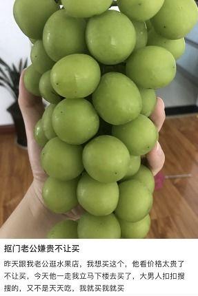 cc吃瓜视频,娱乐圈幕后风云大揭秘 cc吃瓜视频,娱乐圈幕后风云大揭秘