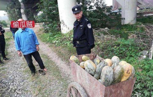 宜丰网红吃瓜事件真相视频,揭秘真相背后的惊人内幕 宜丰网红吃瓜事件真相视频,揭秘真相背后的惊人内幕