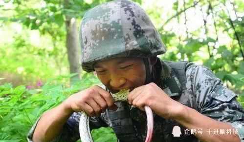 韩国特种兵吃瓜视频,揭秘军营生活趣闻 韩国特种兵吃瓜视频,揭秘军营生活趣闻
