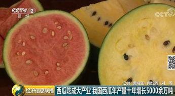 全球吃瓜视频,揭秘网络时代的“瓜田”盛景 全球吃瓜视频,揭秘网络时代的“瓜田”盛景